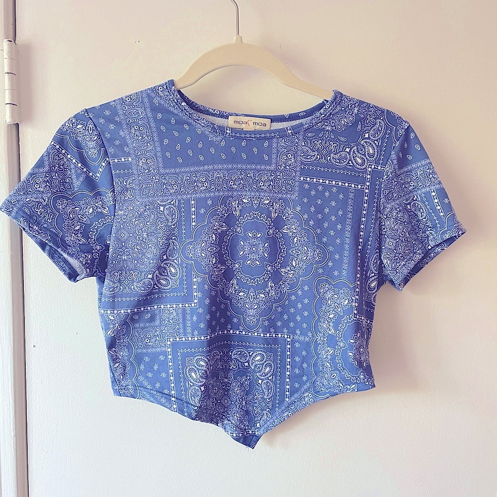Paisley Print Crop Top